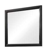 Briana Rectangle Dresser Mirror Black Half Price Furniture