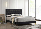 Kendall Tufted Panel Bed Black and Gold Half Price Furniture