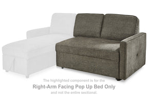 Kerle 2-Piece Sectional with Pop Up Bed - Half Price Furniture