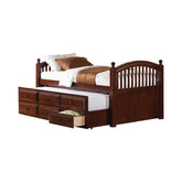 Norwood Twin Captain's Bed with Trundle and Drawers Chestnut Half Price Furniture