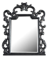 Acme Furniture House Delphine Mirror in Charcoal 28834 Half Price Furniture