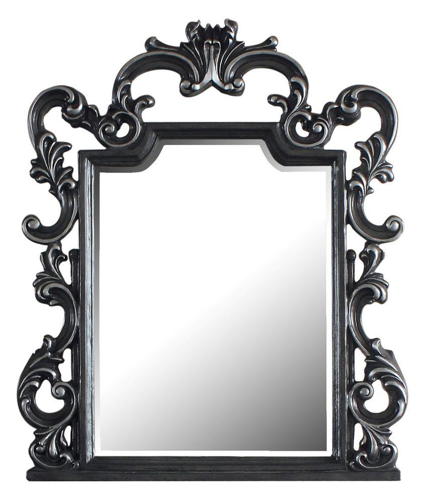 Acme Furniture House Delphine Mirror in Charcoal 28834  Half Price Furniture