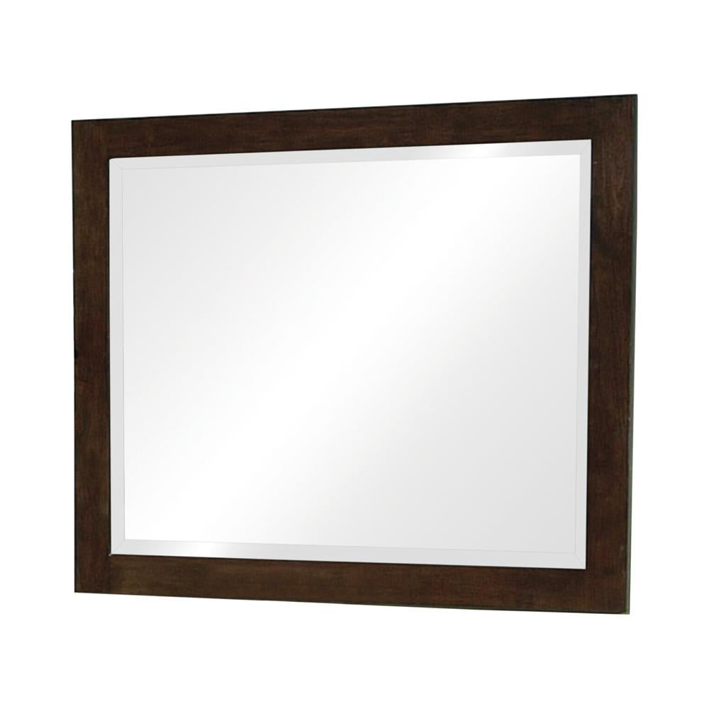 Jessica Rectangular Wall Dresser Mirror Cappuccino - Half Price Furniture