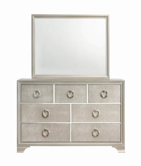 Salford Rectangular Dresser Mirror Metallic Sterling - Half Price Furniture