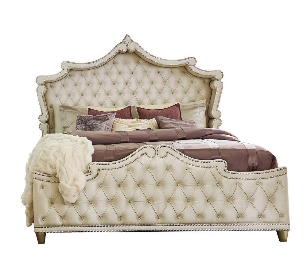 Antonella Upholstered Tufted Queen Bed Ivory and Camel - Half Price Furniture