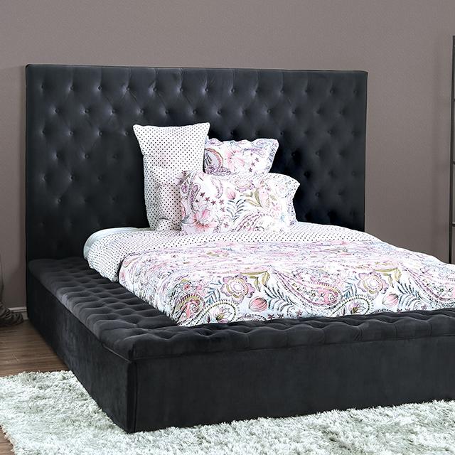 GOLATI Cal.King Bed, Black Half Price Furniture