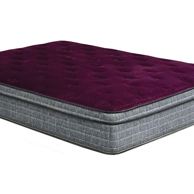 Minnetonka Purple 13" Euro Pillow Top Mattress, Cal.King Half Price Furniture